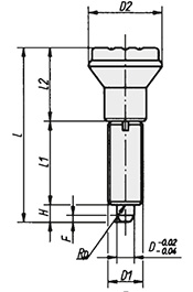 Schéma 1 + Index plunger 
without collar 