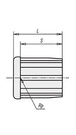 Schéma 2 + Screw-in plug for cylindrical tube